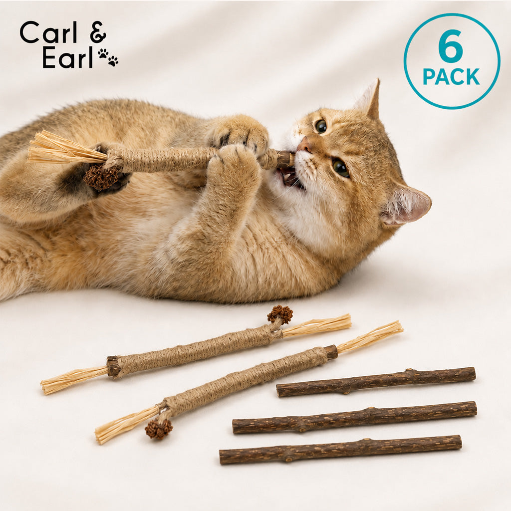 Carl & Earl Silvervine Dental Sticks