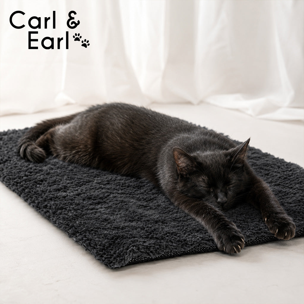 Carl & Earl Self-Heating Pad