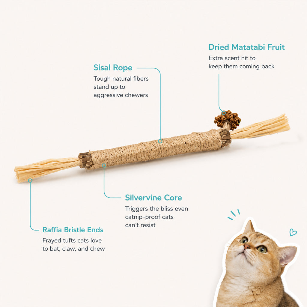 Carl & Earl Silvervine Dental Sticks