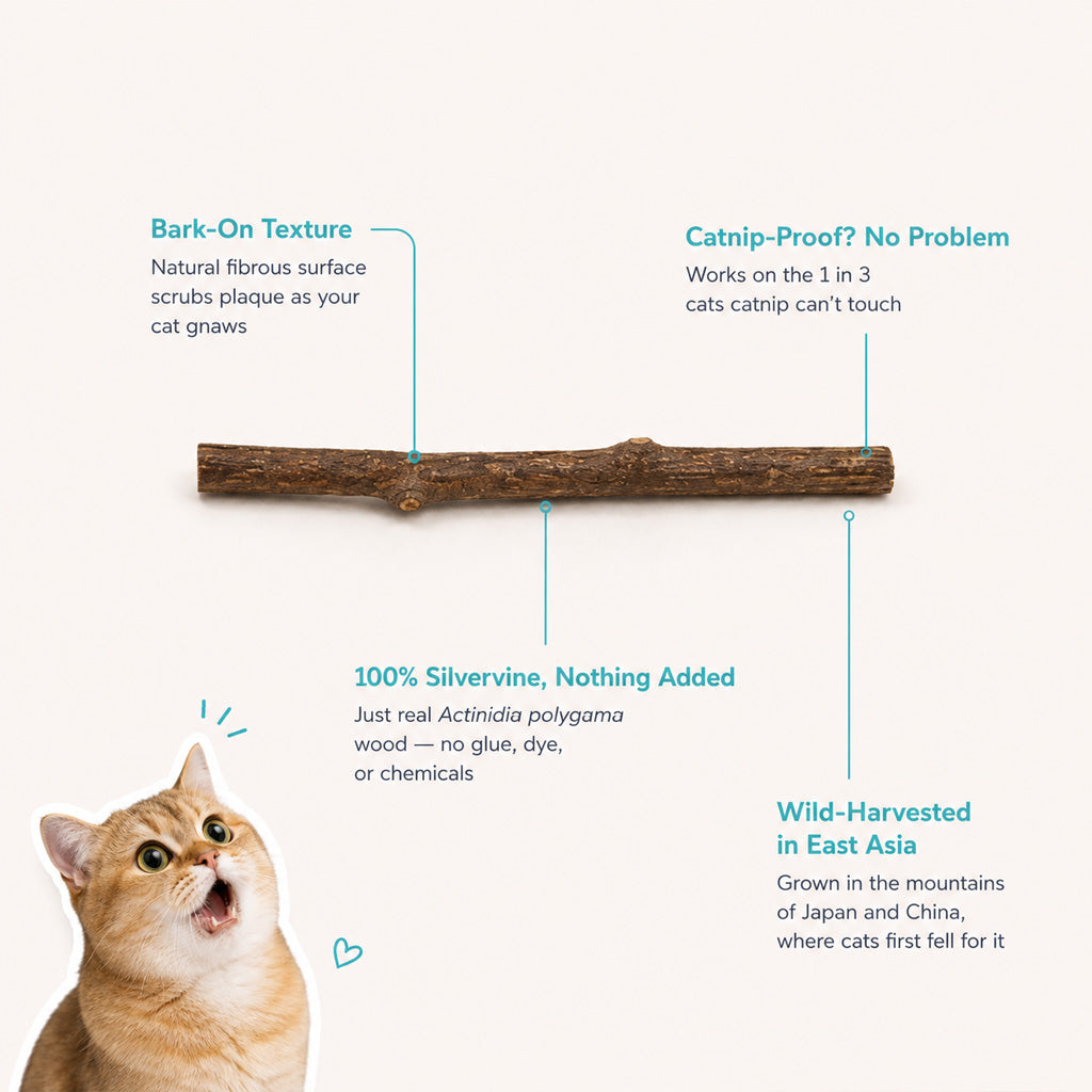 Carl & Earl Silvervine Dental Sticks