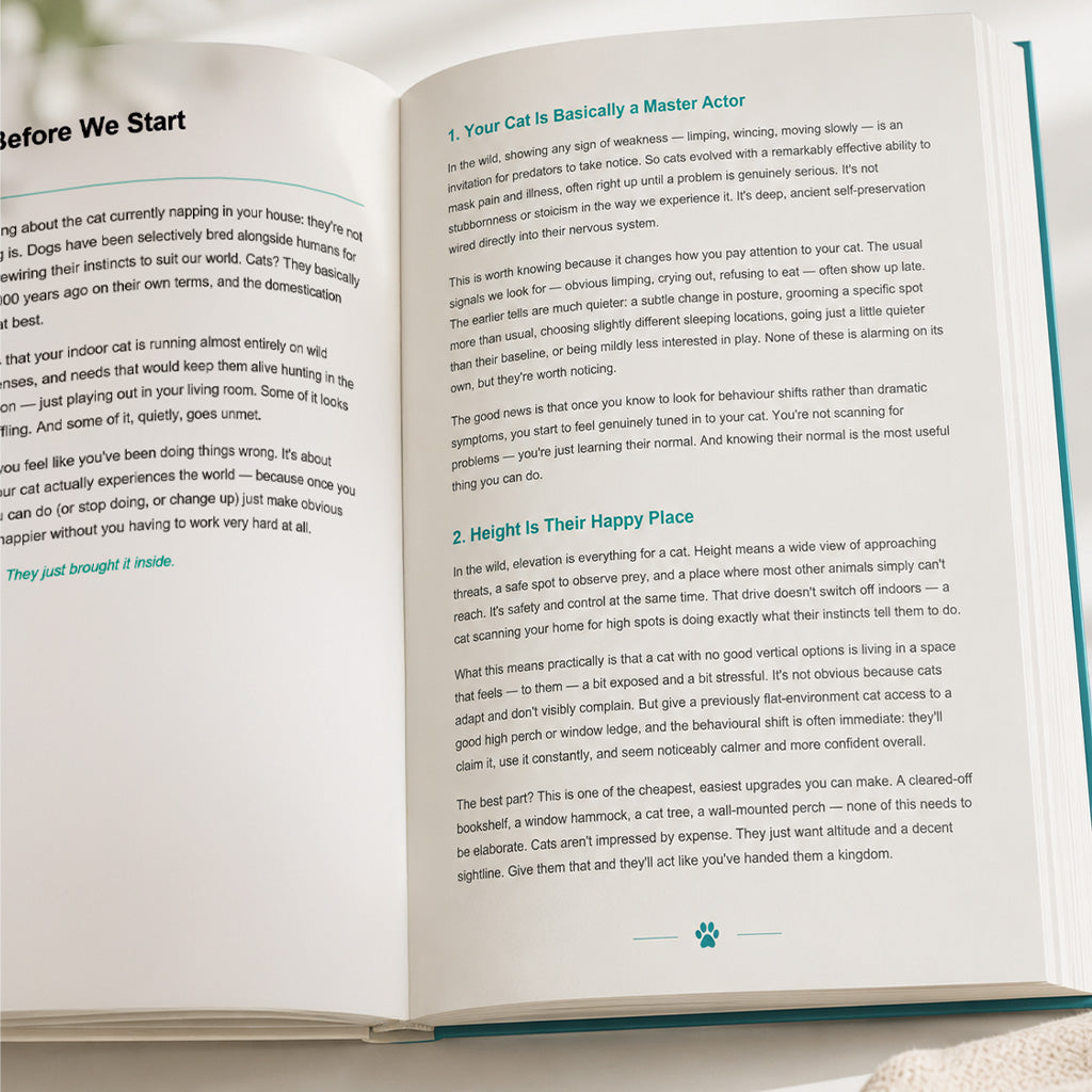 Carl & Earl - The Indoor Instinct E-Book